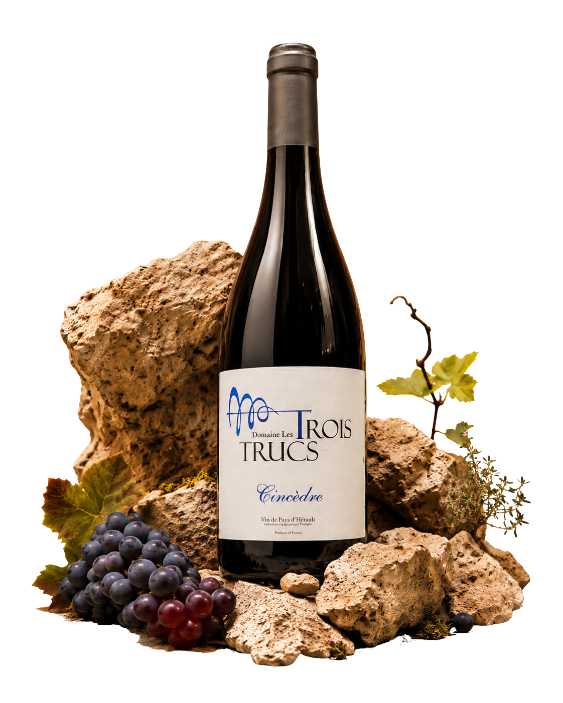 La bouteille de Cincèdre, Vin de Pays d'Hérault, posée sur des galets calcaires, grappes et thym en fleur